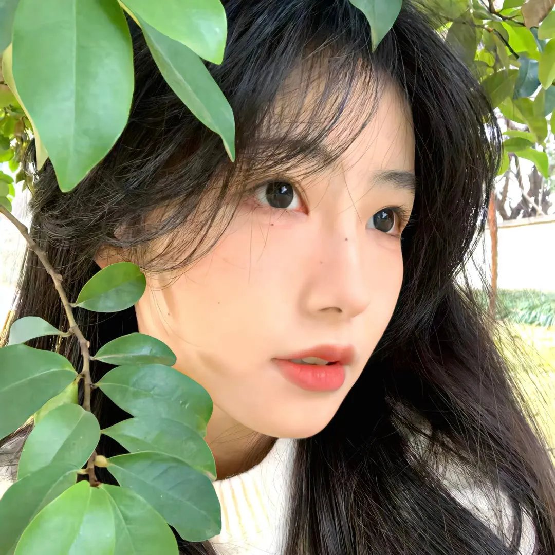 爱的大追踪